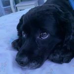 Ella Brucker - @just_max22317 - Instagram