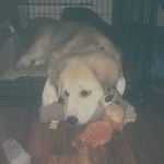 Ellie Mae Bruner - @__ellie.mae__ - Instagram