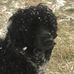 Elle Brunner - Facebook