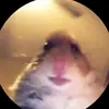 Hamtet - @ella.brunson - TikTok