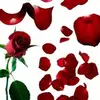 poppy - @ellabuhl6 - TikTok
