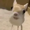 Ella Bunn - @ella.bunn1 - TikTok