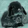 𖥟𖧶🐾å§h🐾𖥟𖧶 - @ella.bunny8 - TikTok