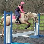Ella-Louise Burger - @ella_equestrian6149 - Instagram