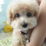 ella.burger - @el.la.6 - Instagram