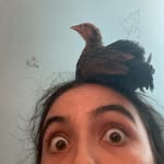 Ella Anderson - @ellabutteredbiscuits - Instagram