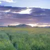 Ella Cainey - @ella.cainey - TikTok