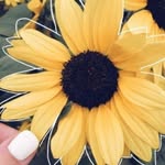 Ella Calhoun - @ellacalhoun276 - Instagram