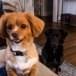 Ellie + Callaway - @ellie_and_callaway - Instagram