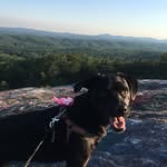 Harper Ella Calloway - @underbite_harper_ella - Instagram