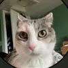 Ella Calvert - @ellacalvert9 - TikTok