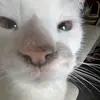 Ella Cannon - @ellacannon19 - TikTok