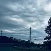 Ella Cannon - @ellacannon67 - TikTok