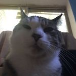 Ella Cannon - @spam_acc_ella_ - Instagram