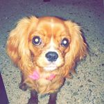 Ella Grace Cannon - @ellagracecannon - Instagram