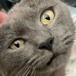 Ella Cantrell - @ellacantrell - Instagram