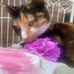 Libi Ella Capps - Facebook