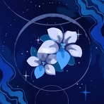 Ella Carney - Facebook