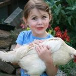 Ella Carpenter - @ellazextras - Instagram