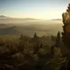Ella Case - @ellacase776 - TikTok