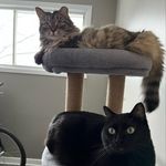 Ella And Morri Caswell - @ella.and.morri._ - Instagram