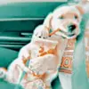 Ella Cate - @ellacate.preppy - TikTok