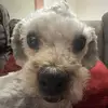 Ella - @ellachacon_ - TikTok