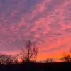 ella.chai1117 - @ella.chai1117 - TikTok