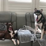 Ella & Chase Elkin - @doubletrouble_elkins - Instagram