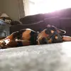Ella😘 - @ella_chase1 - TikTok