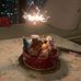 Ella Chau - Facebook