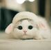 Ella Chau - Facebook