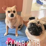 EllaCheekyMix - @ellacheeky - Instagram