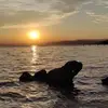 Ella Chițu - @ella.chiu8 - TikTok