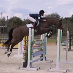 Elle Choate - @ellechoateeventing - Instagram
