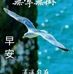 Ella Choo - Facebook