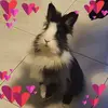 CL-Antonella - @clantonella - TikTok