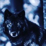 ella coble - @ellamaecoble2021 - Instagram