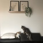 Coco & ella - @ella_coco_ella - Instagram