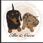 Ella + Coco 🐶🐶 - @ella.and.coco.dachshunds - Instagram