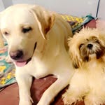 Ella&Coco - @ellacoco44 - Instagram