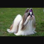 ella colleen vera whitnall - @ellacolleenverawhitnall - Instagram
