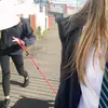 ella - @ellacollier12 - TikTok