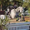 ella collins - @ellakate_eq - TikTok