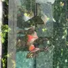 Ella - @ella_collins88 - TikTok