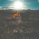 Ella Comeau, OTR/L - @the.hope.chronicles - Instagram