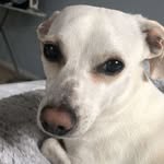 Ella Comer - @dobbylover222 - Instagram