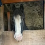 Ella Comerford - @comerfordella - Instagram