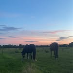 Ella - @ellac_omerford - Instagram