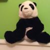 Ellacooley  - @ella_cooley_lol - TikTok